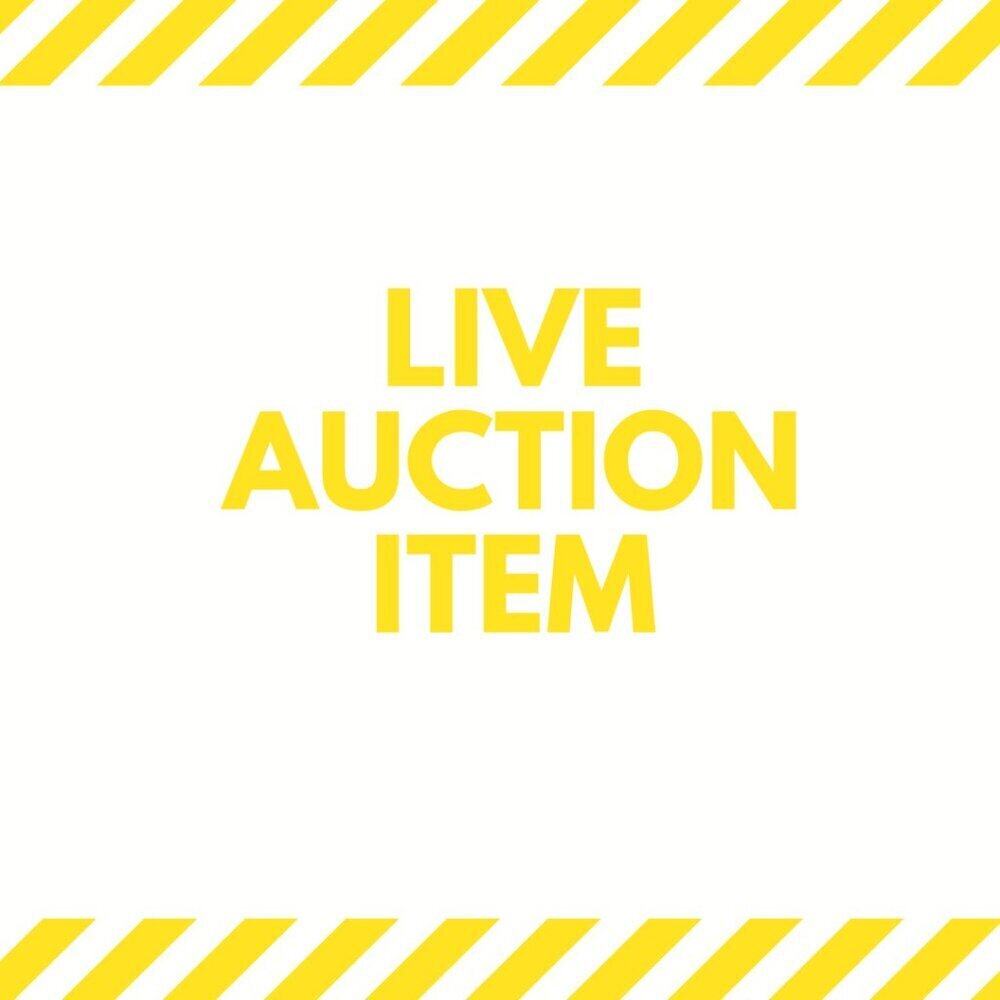 AUCTION ITEM AS SHOWN IN SHOW ITEM 51-99